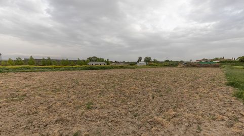 PARCELA RÚSTICA DE 3.500 M2 EN SANTA FE
