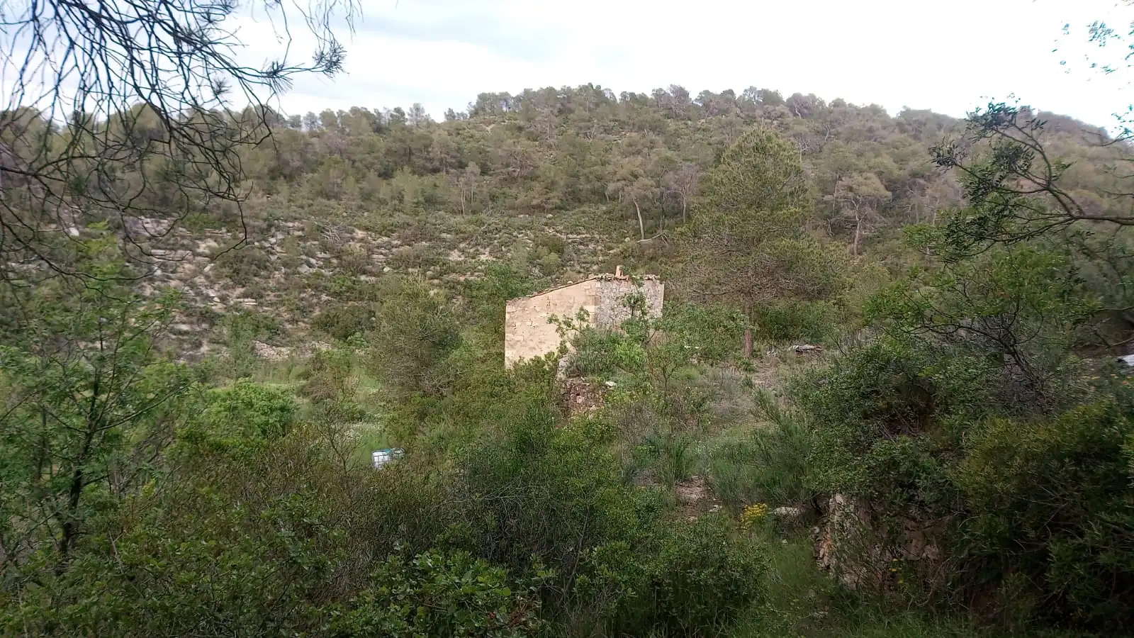 Finca rústica en venta en Vilalba dels Arcs