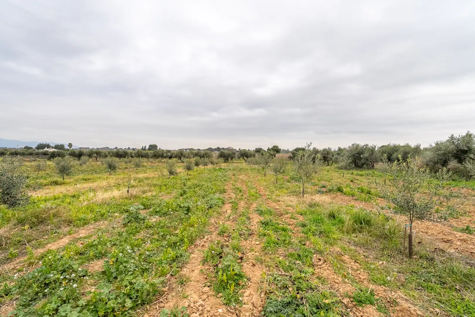 Casa rústica con jardín en venta en Riudoms, imagen 40