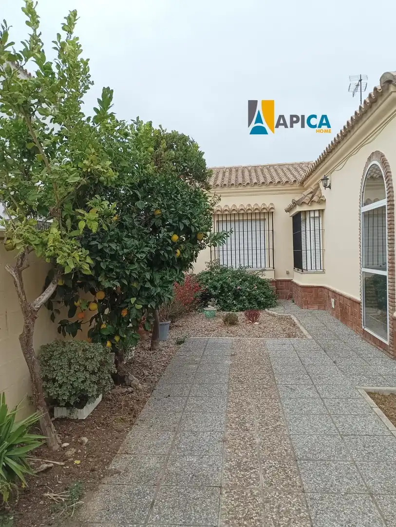 Jardí de Casa o xalet en venda en Chiclana de la Frontera amb Terrassa i Moblat