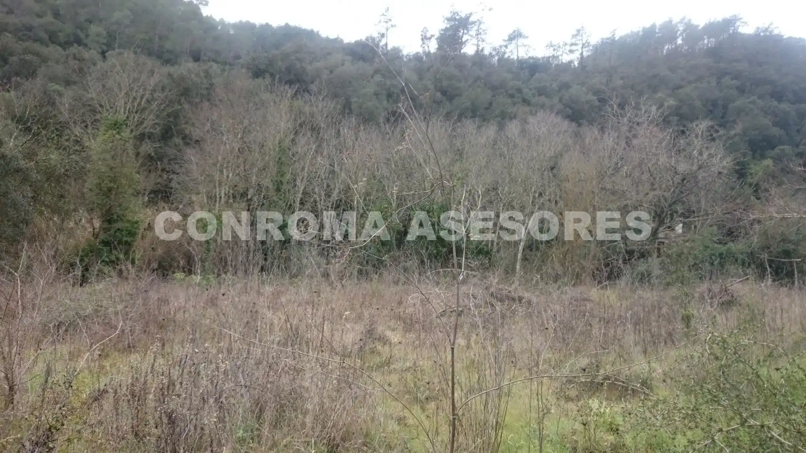 Terreno rustico in vendita a Niàgara Parc - Àgora Parc, imagen 11