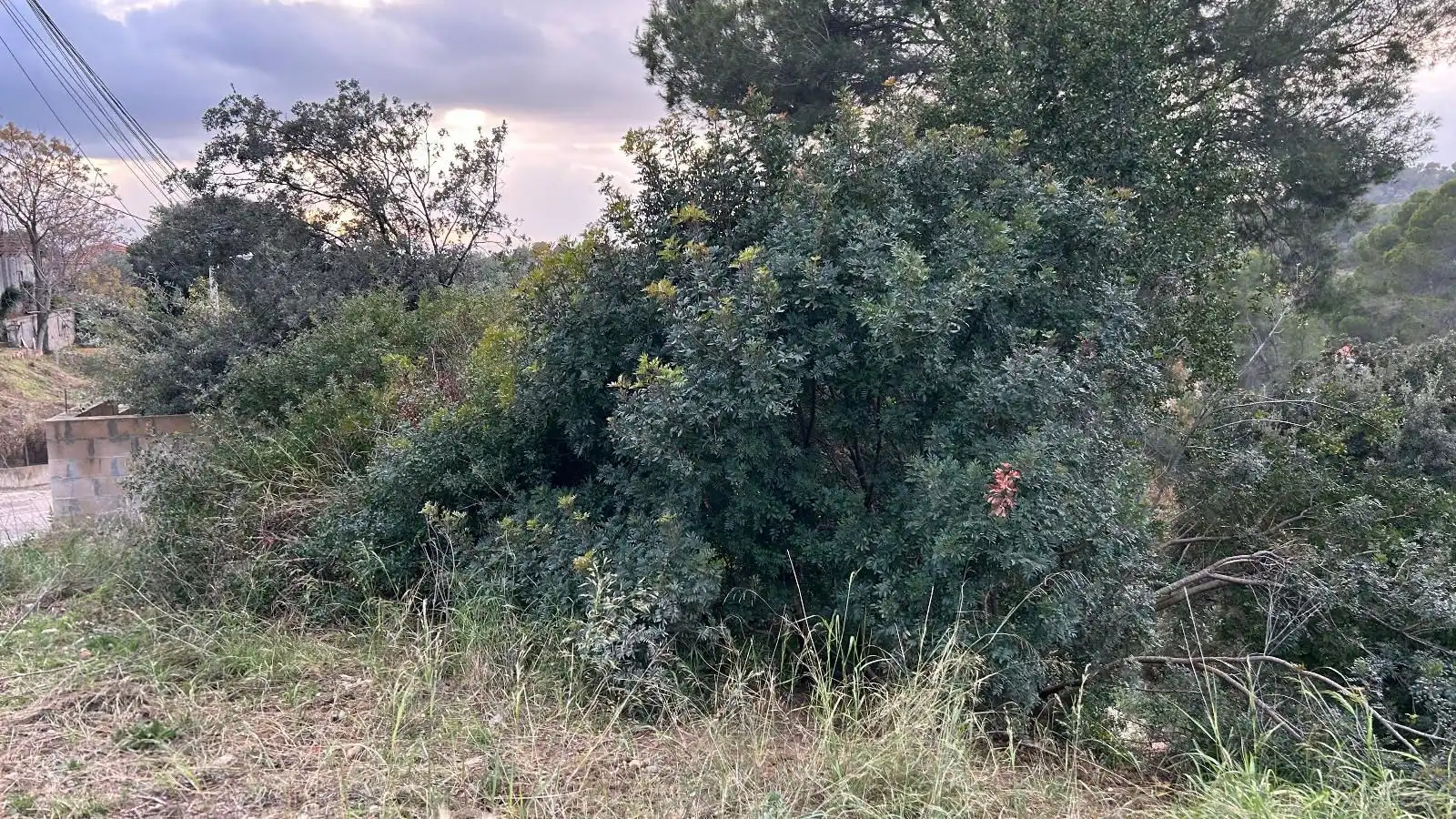 Rustikales Grundstück zum Verkauf in WILLI BRANDT, imagen 12