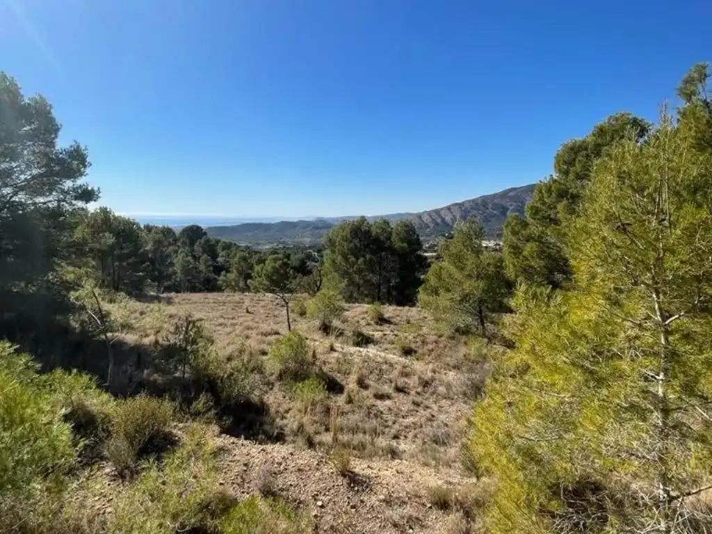 Rural land for sale in Polígono Foya del Cac, imagen 2