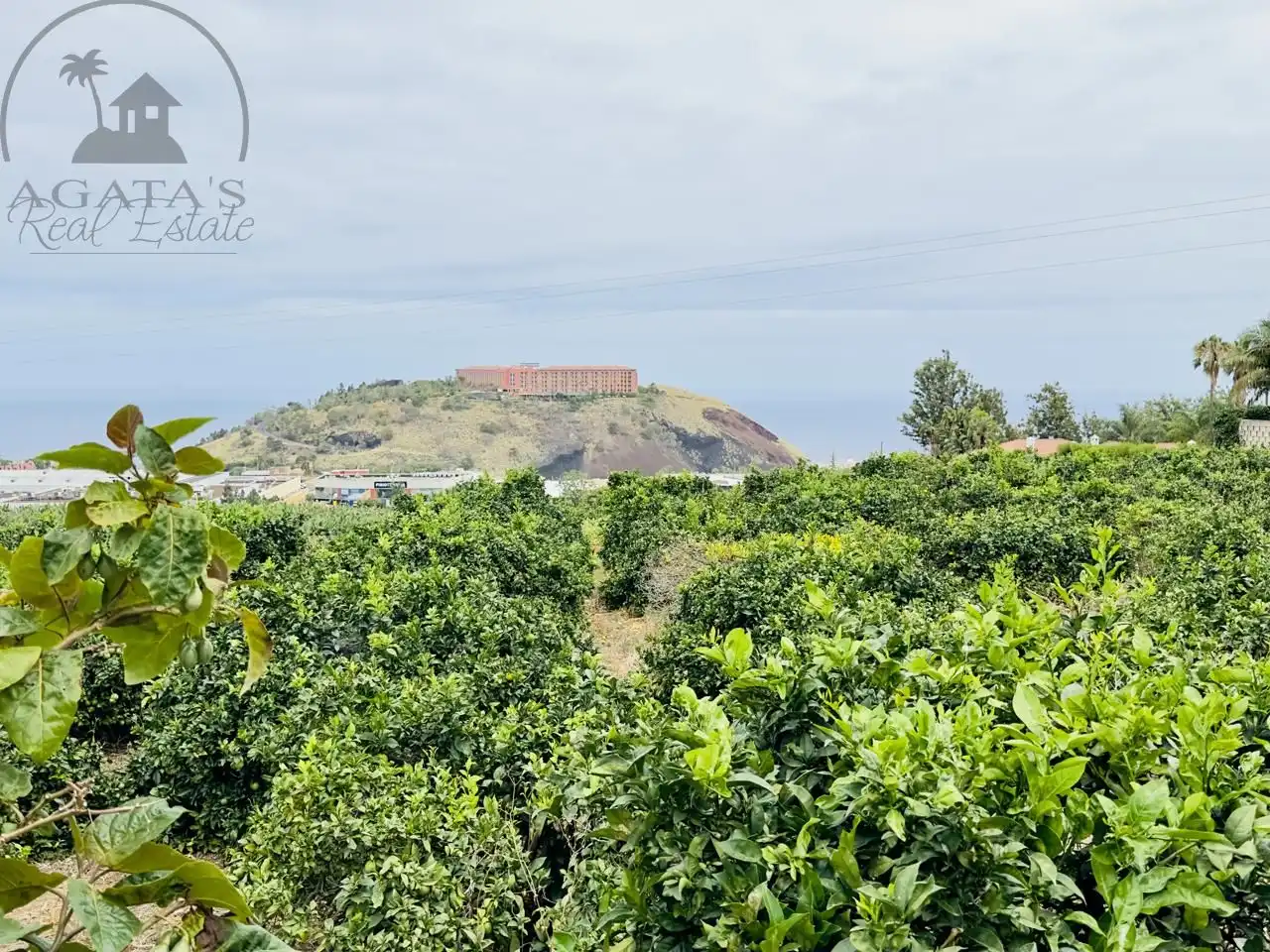 Finca rústica en venta en La Orotava con Jardín privado y Terraza