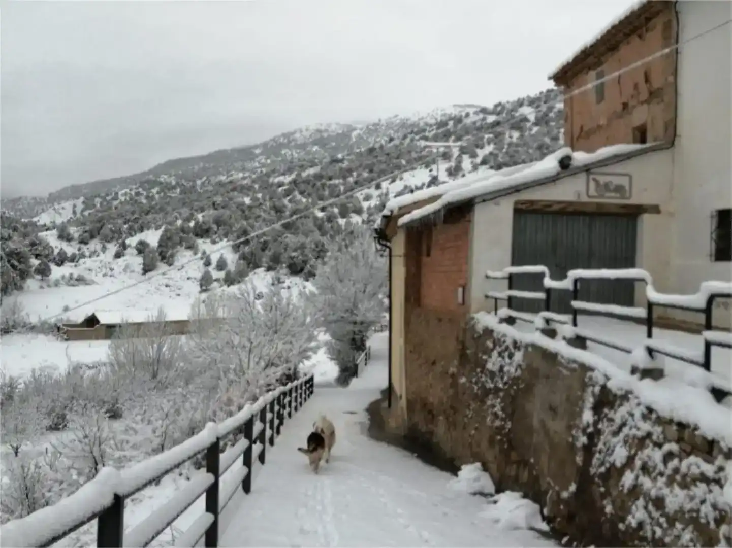 Vista exterior de Casa adosada en venta en Manzanera con Balcón