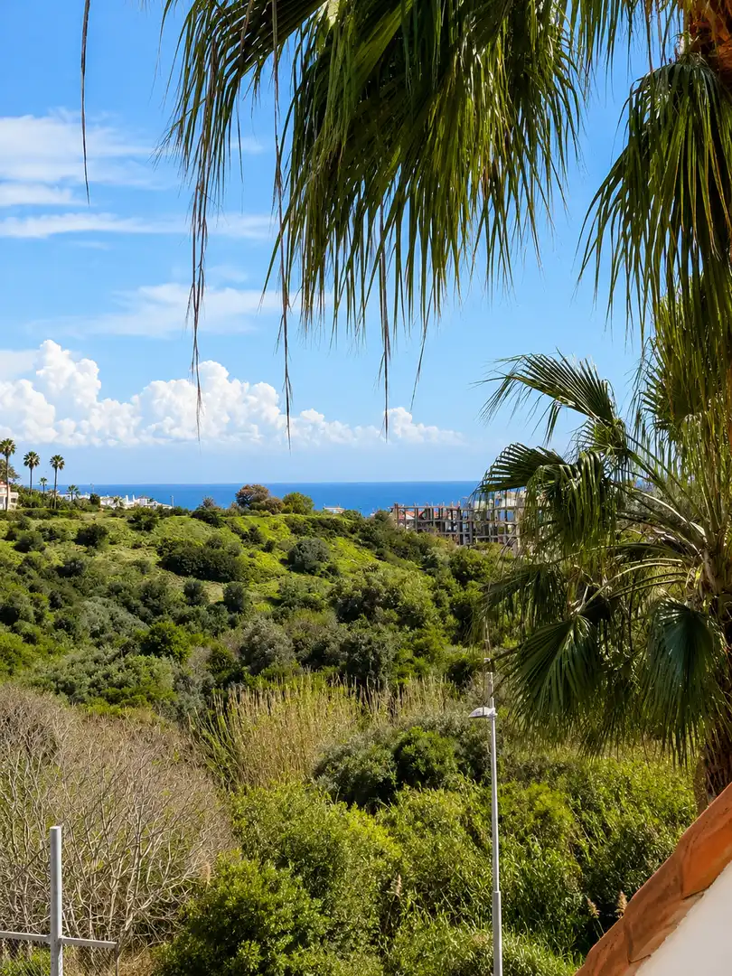 Àtic amb piscina en venda a La Duquesa