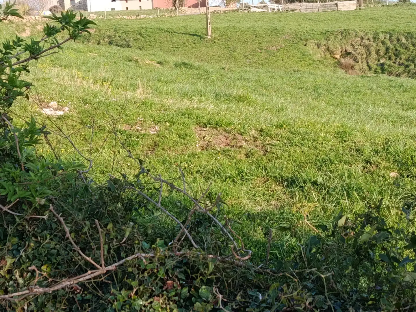 Grundstücke zum Verkauf in Miengo