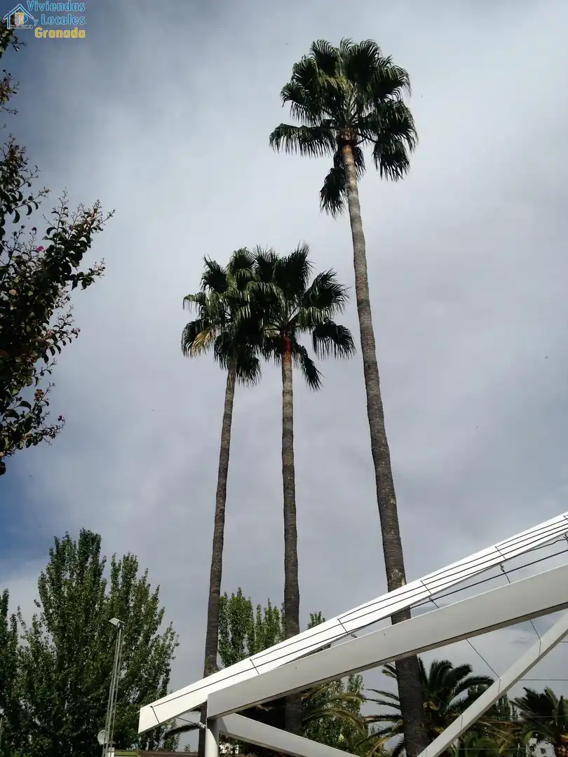 Vista exterior de Casa o chalet en venta en Granada con Aire acondicionado, Jardín privado y Trastero