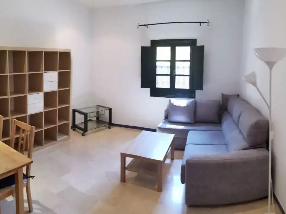 Sala d'estar de Apartament en venda en  Sevilla Capital
