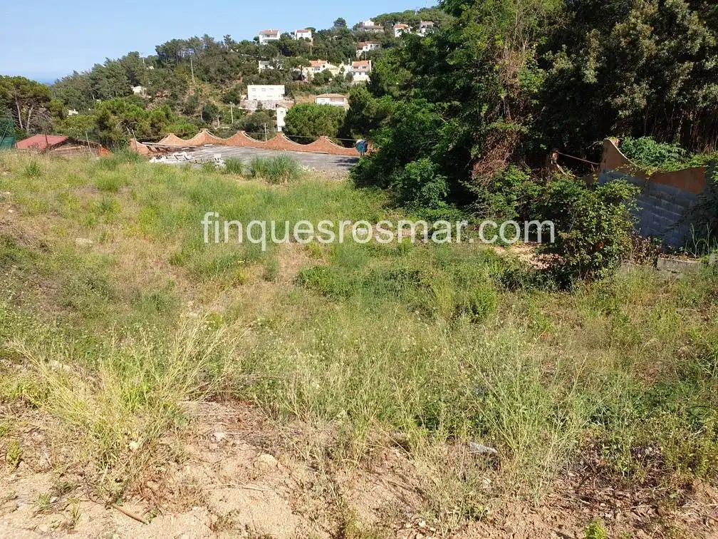 Terrenos y solares en venta en Serra Brava, imagen 4