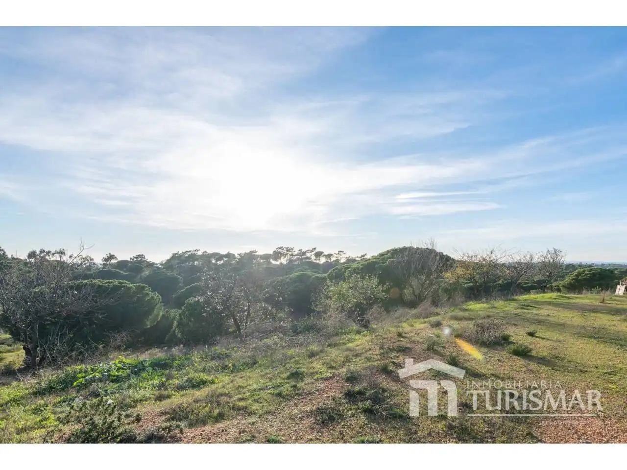 Villa in vendita a Carretera Campo 1, imagen 38