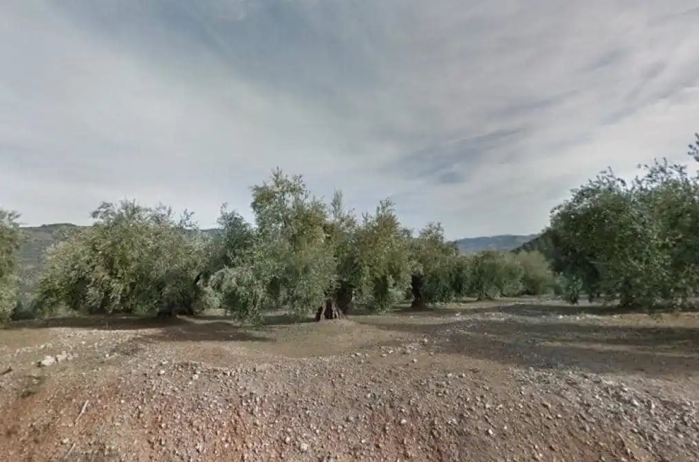Lands and plots for sale in Pegalajar, imagen 2