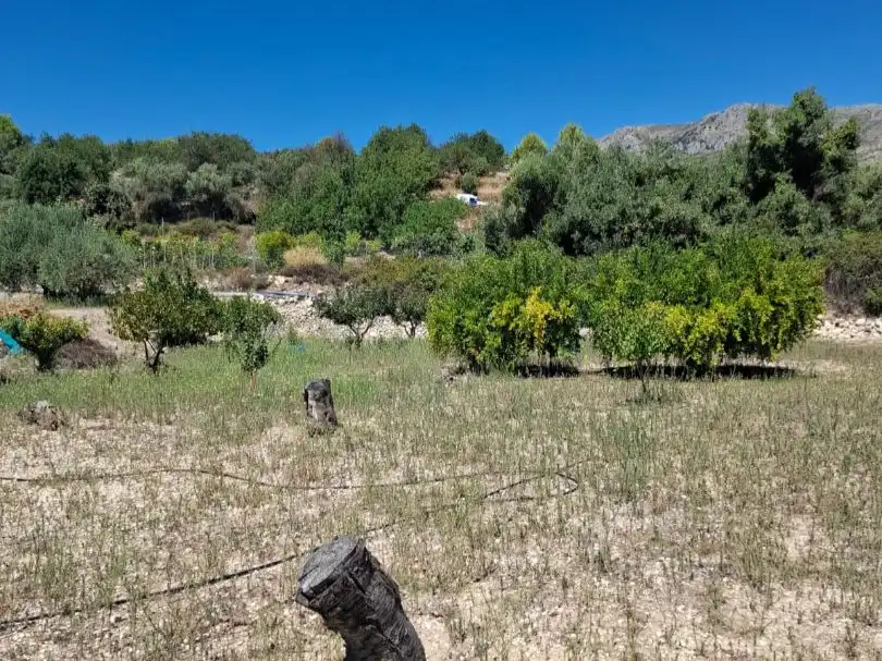 Grundstücke zum Verkauf in Beniardà
