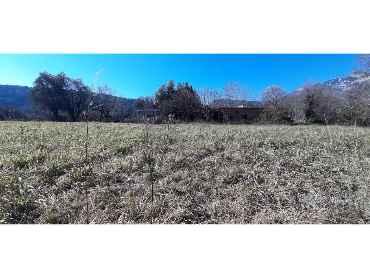 Terreno rustico in vendita a Berga, imagen 4