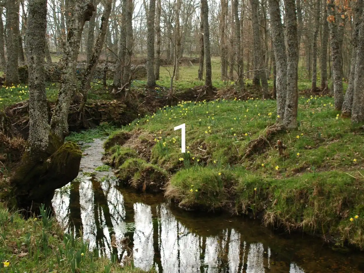 Terreno en venta en Nava de Francia