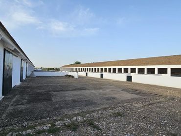 Nave industrial in vendita a Periurbano Oeste - Sierra