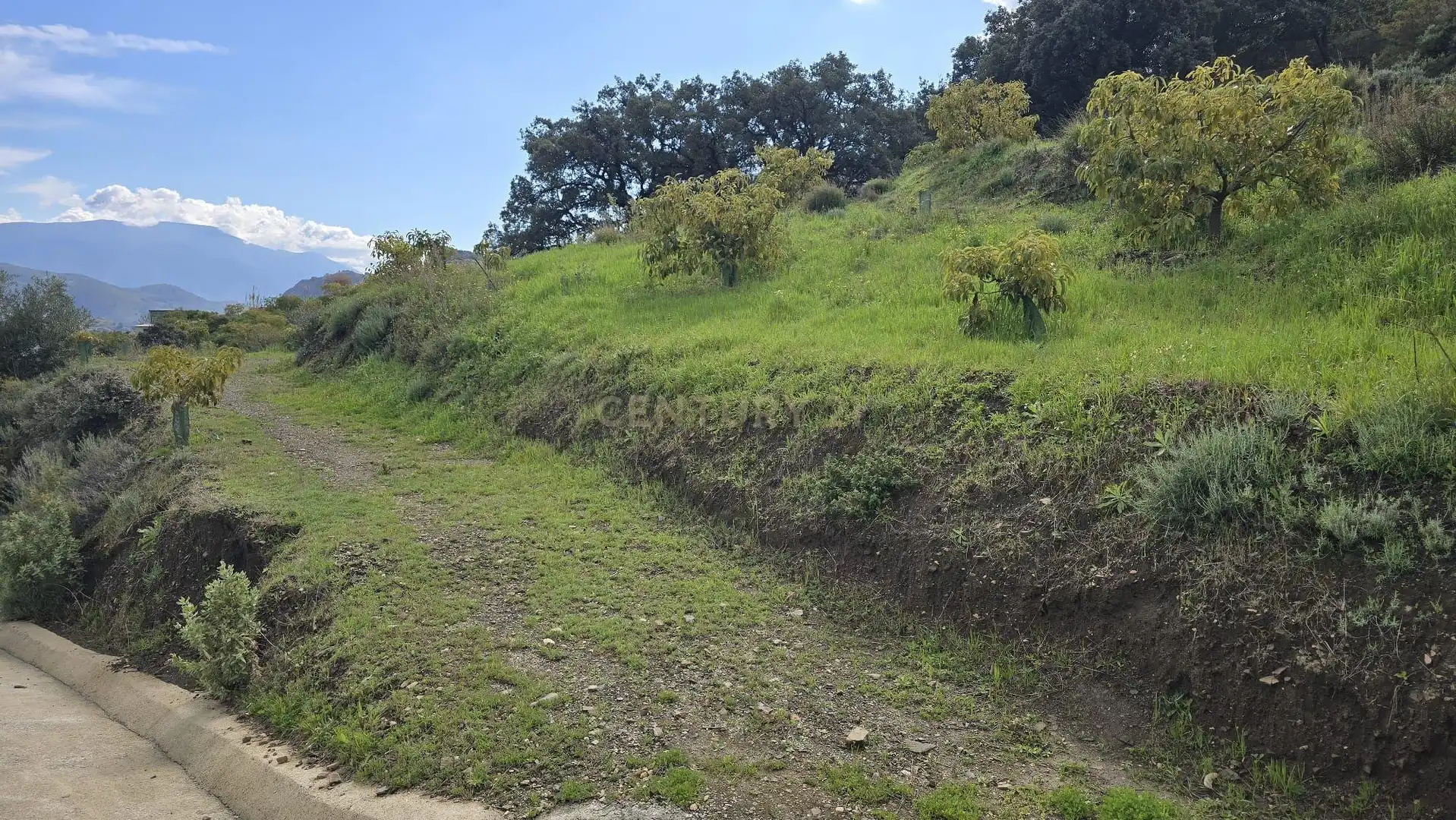 Terreno rustico in vendita a Polígono 11 Parcela 122 EL CERRILLO. LOS GUAJARES (GRANADA), imagen 15