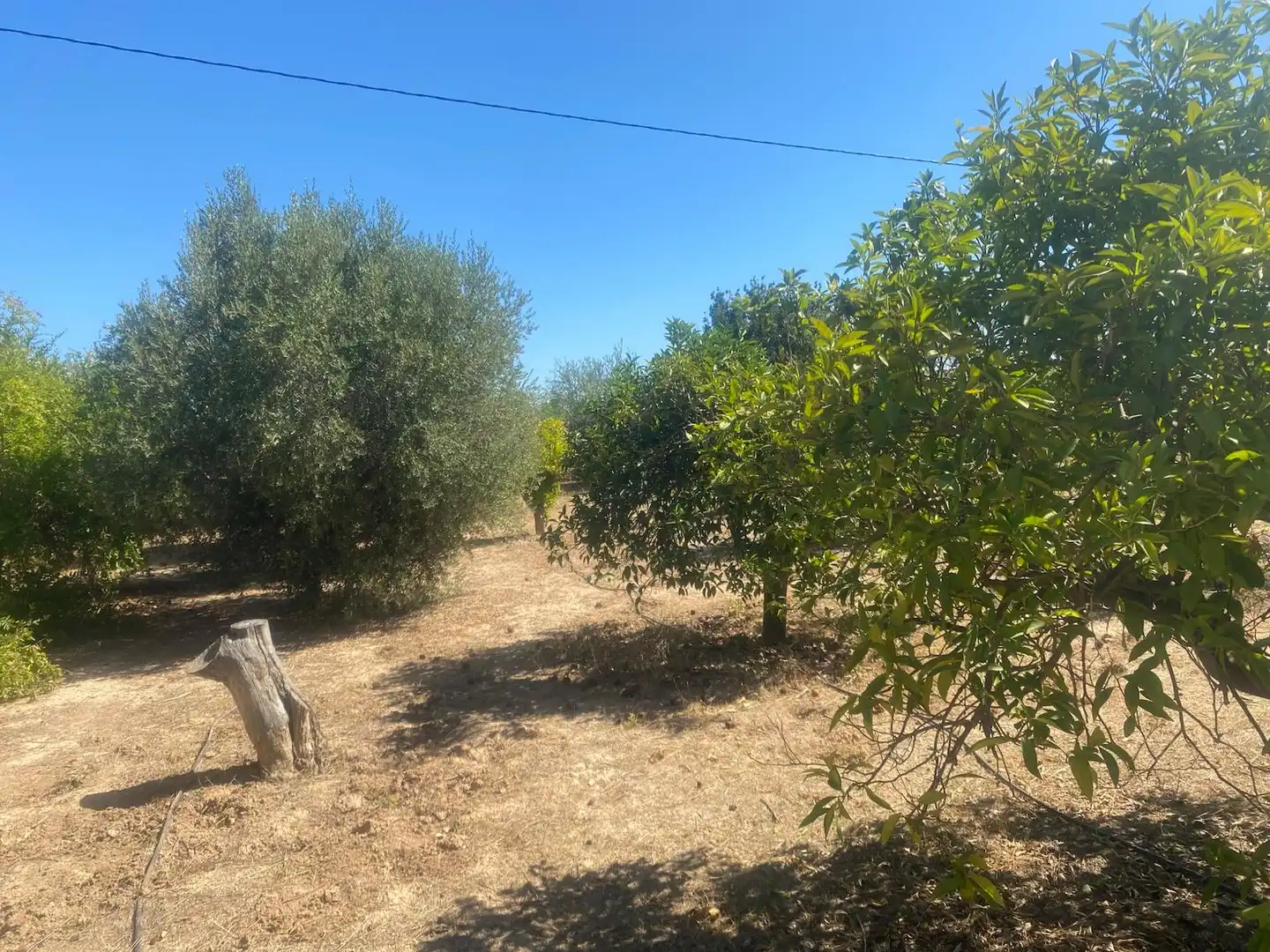 Terreny rústic en venda a Camino Conde del Valle