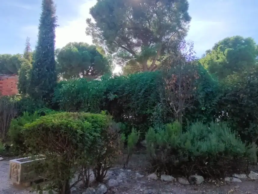 Jardín de Casa o chalet de alquiler en Puente Duero