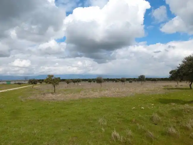 Land for sale in Talavera de la Reina