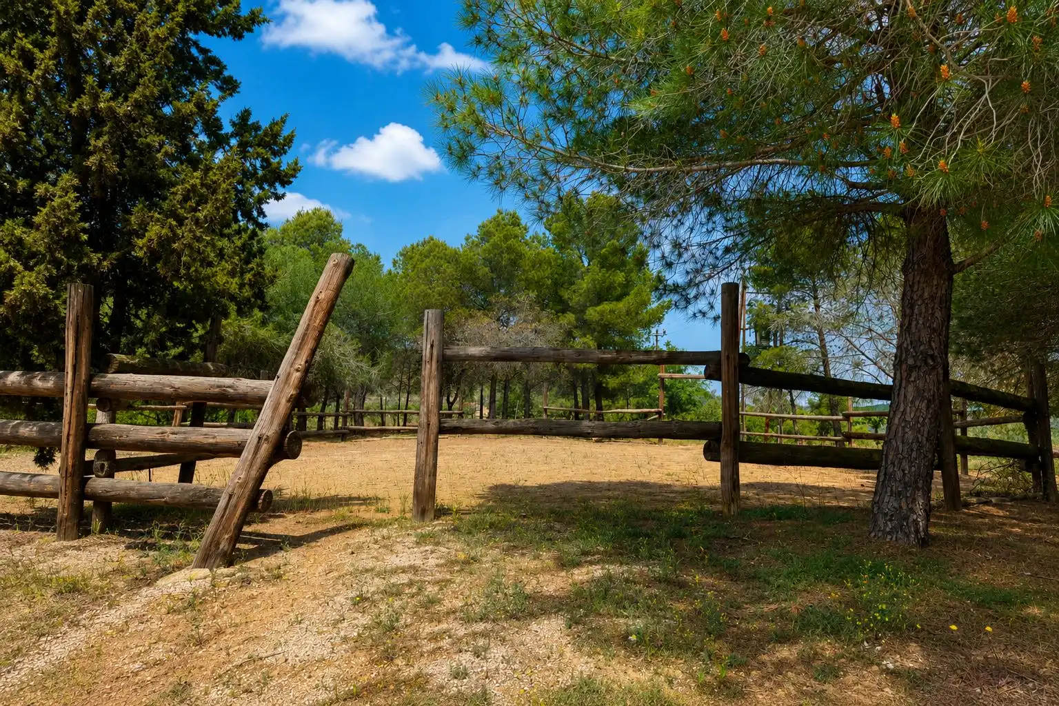 Finca rústica en venda en El Molar (Tarragona) amb Calefacció, Terrassa i Piscina