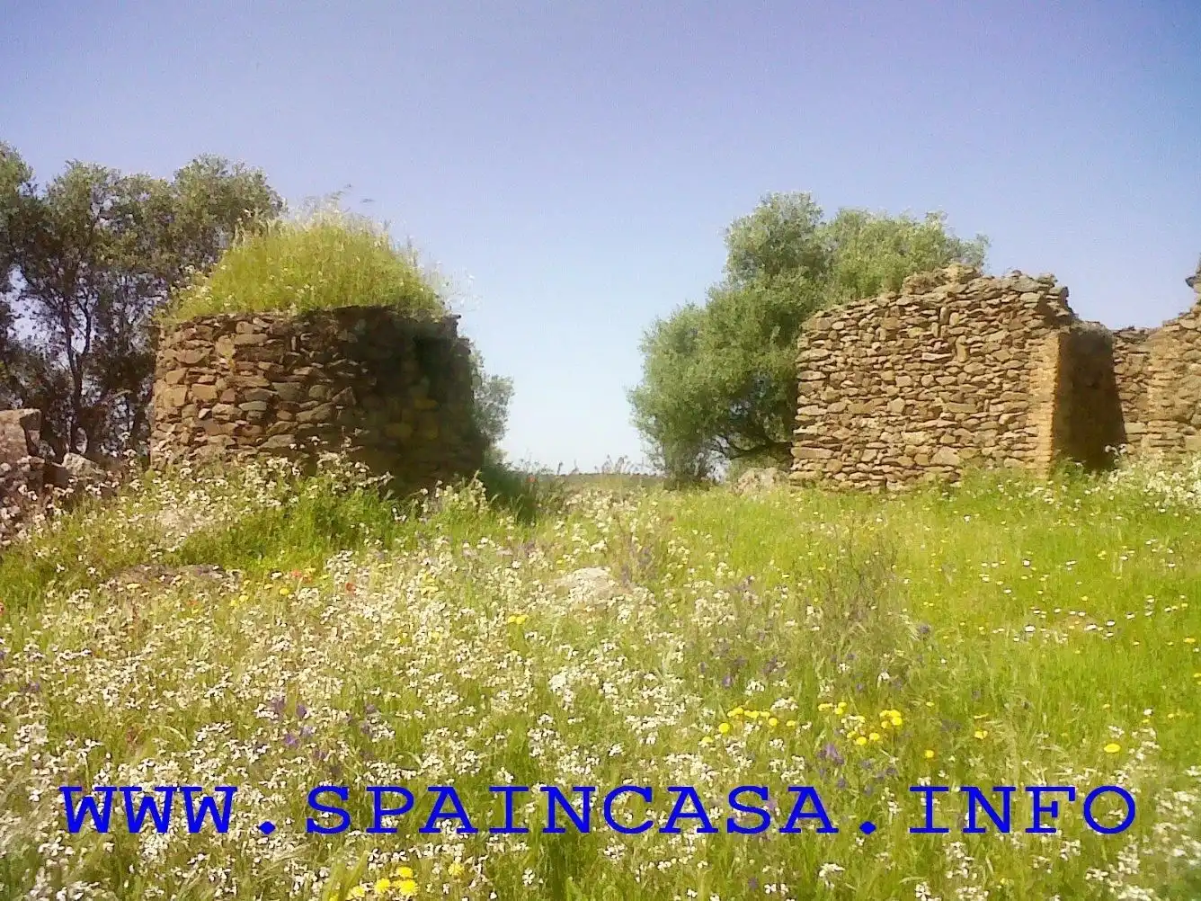 Terrenys i solars en venda a Beas, imagen 3
