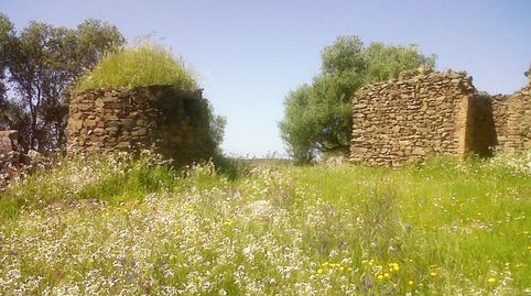 REF-4221 -FINCA ARROYO DEL AGUILA -BEAS -FINCA DE SECANO-2??6??2??3??8??2??, immagine 3