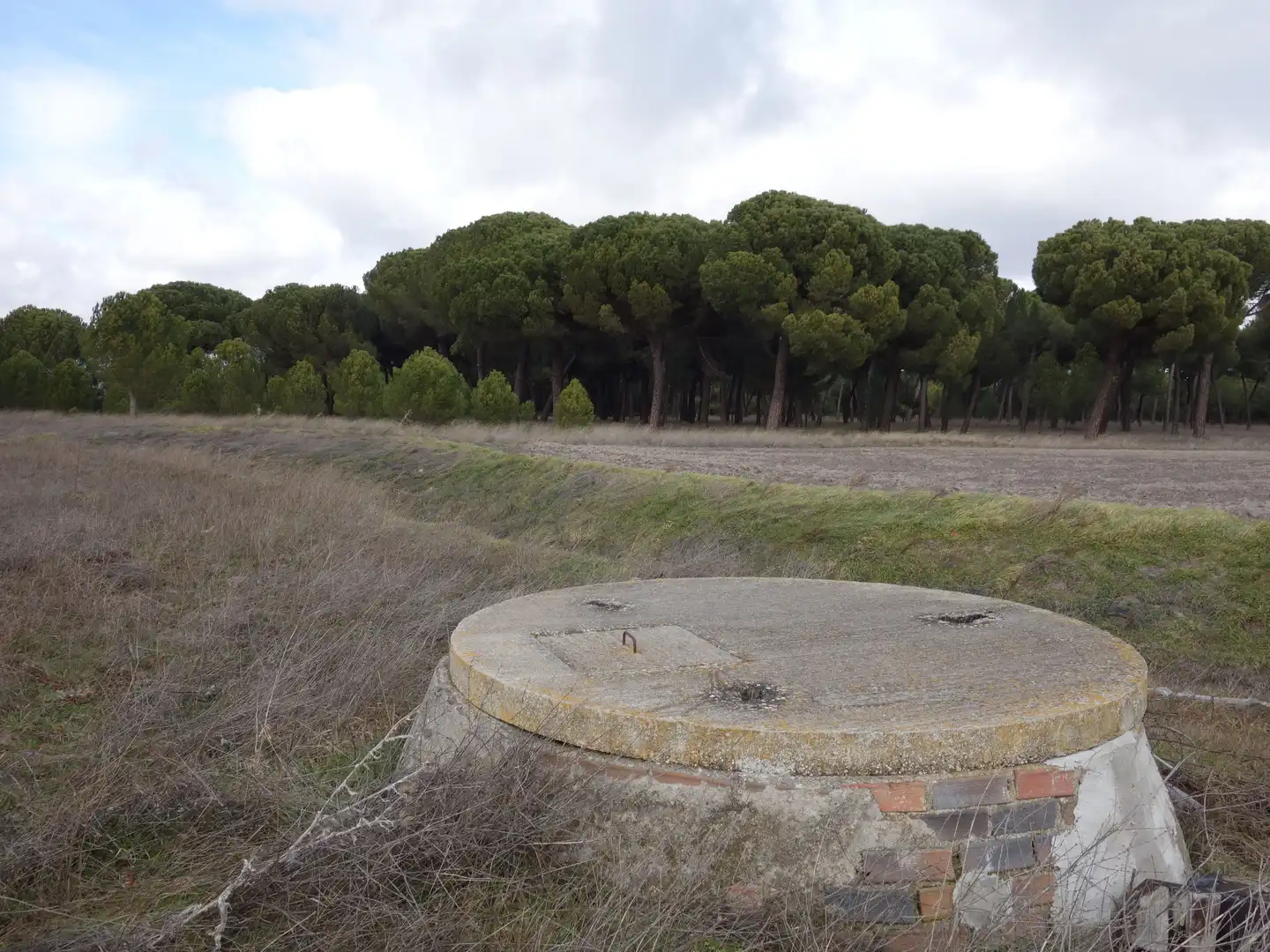Land for sale in Alcazarén