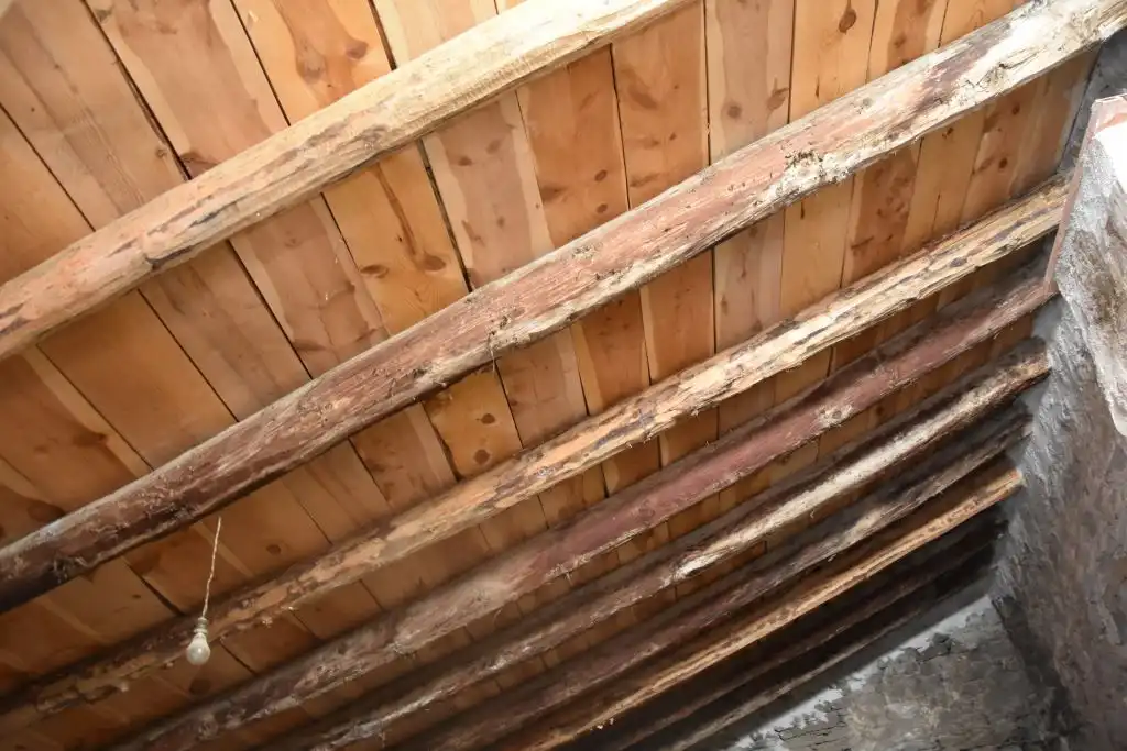Casa rústica amb terrassa en venda a Cretas, imagen 2