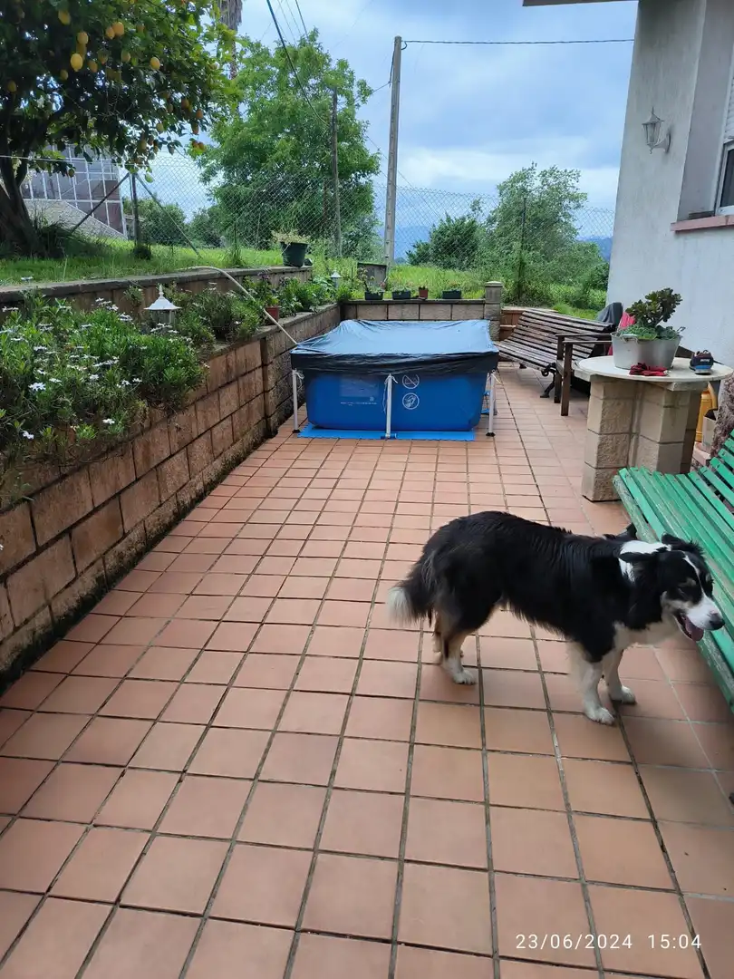 Jardí de Casa o xalet en venda en Oviedo  amb Calefacció, Parquet i Terrassa