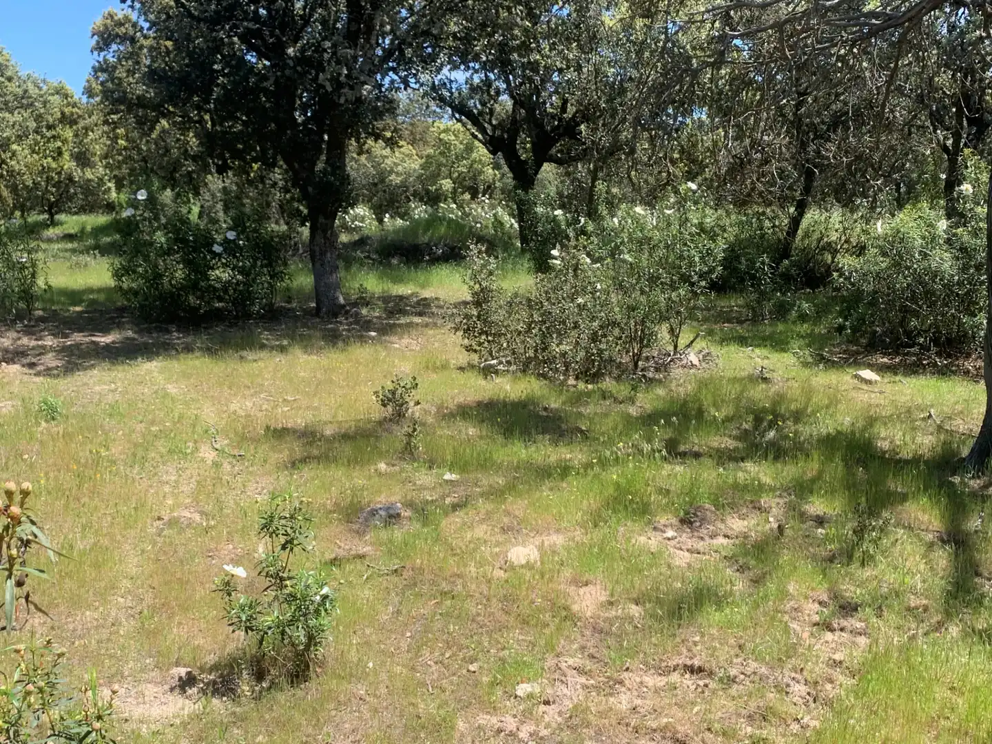 Residencial en venda en El Escorial