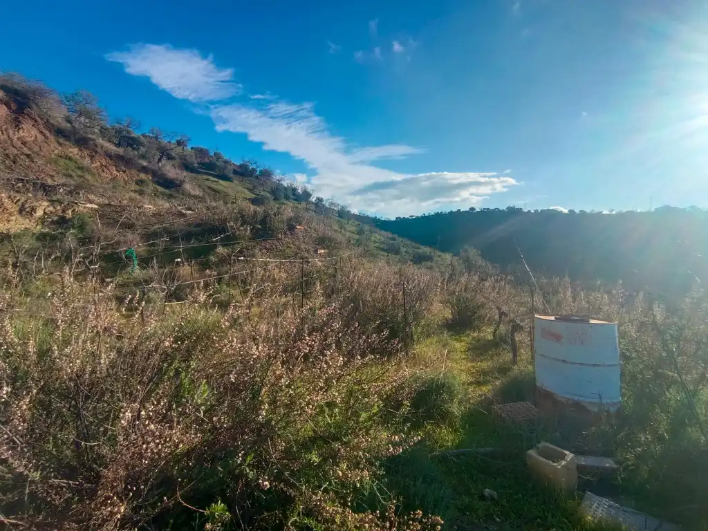 Terreno rústico en venta en Avenida Huerta De La, imagen 2