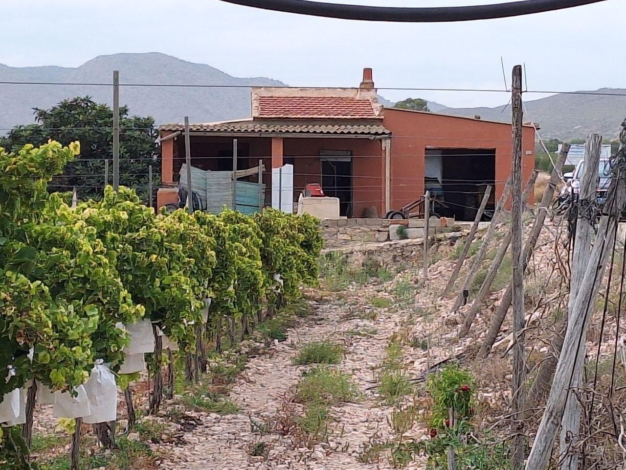 Finca rústica en venda a Novelda