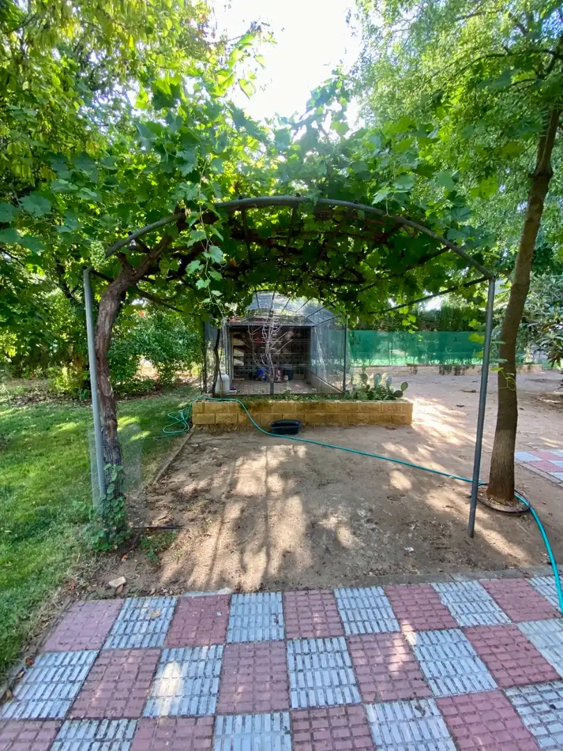 Jardín de Casa o chalet en venta en Ciudad Real con Aire acondicionado, Calefacción y Jardín privado