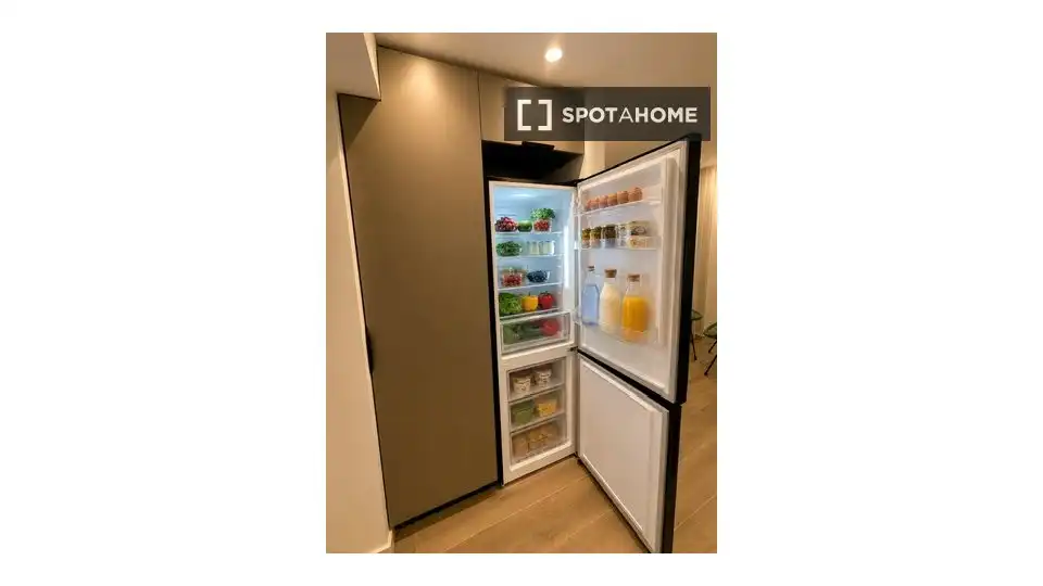 Kitchen of Study for share in El Campello  with Air Conditioner, Terrace and Furnished