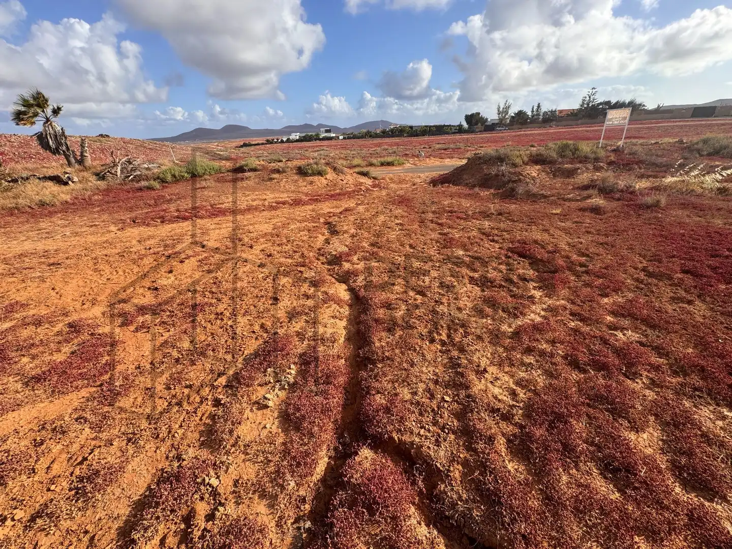Terreno en venta en La Oliva