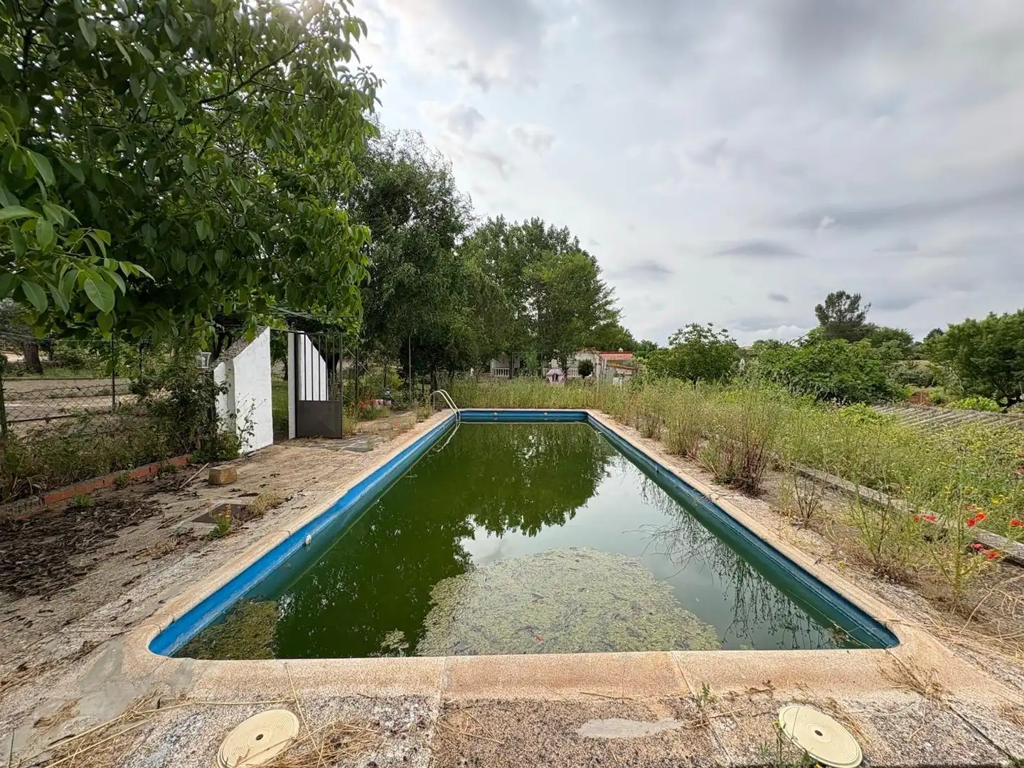 Piscina de Casa o xalet en venda en Pioz amb Calefacció, Jardí privat i Traster