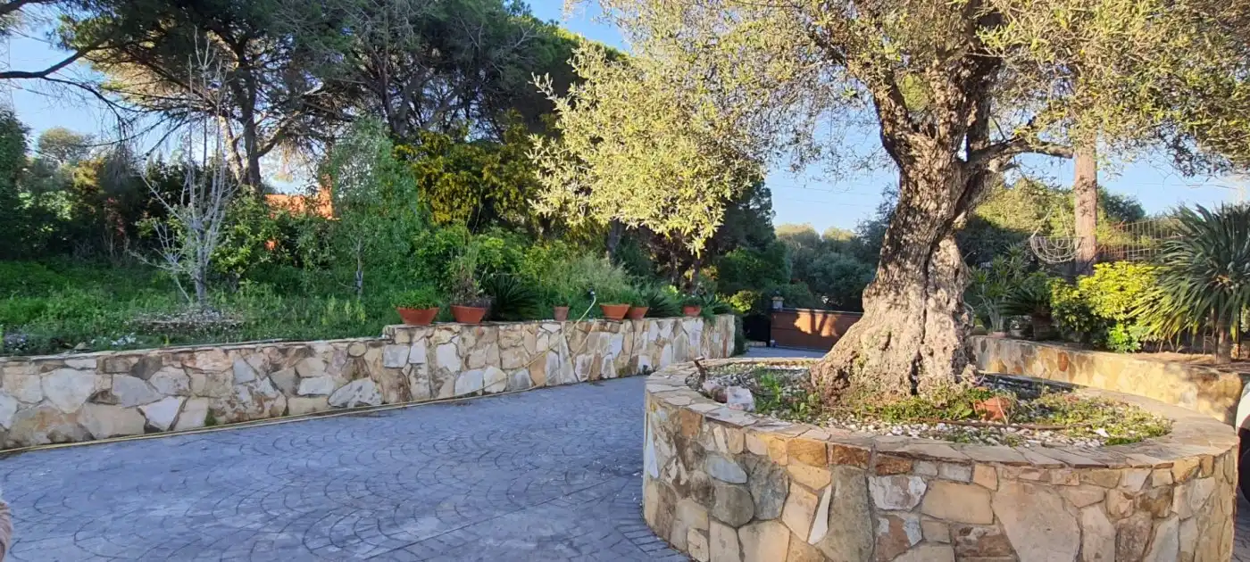 Jardín de Casa o chalet en venta en San Roque con Jardín privado, Terraza y Piscina