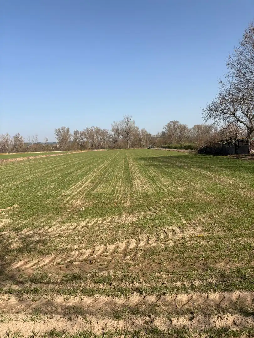 Terreno rustico in vendita a Arrúbal, imagen 7