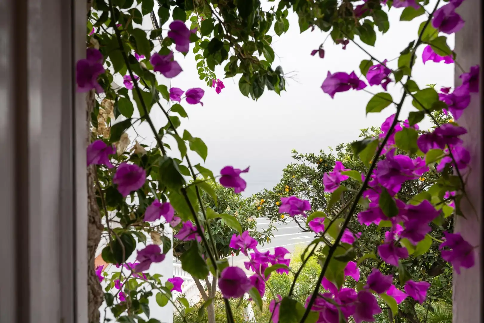Haus mit Garten zum Verkauf in Monte los Almendros - El Pargo - Costa Aguilera, imagen 72