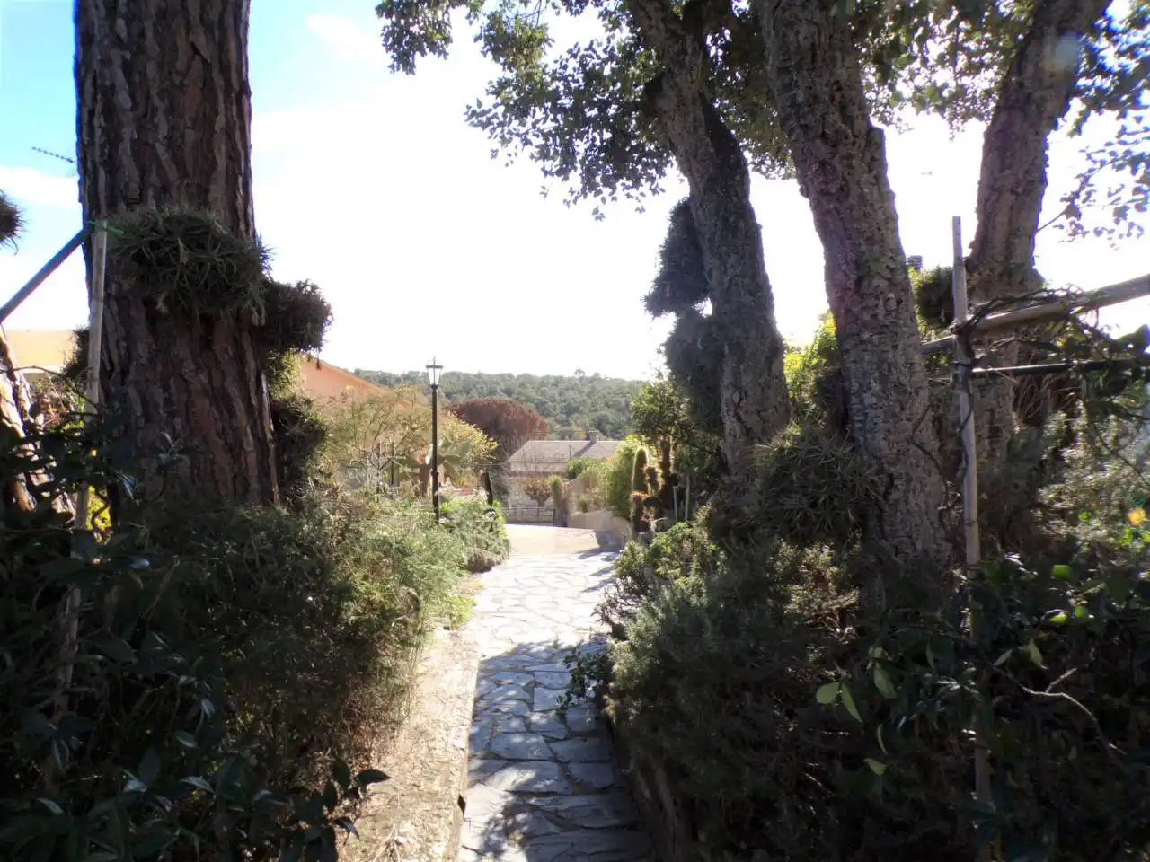 House with pool for sale in Calle breda 1, imagen 17