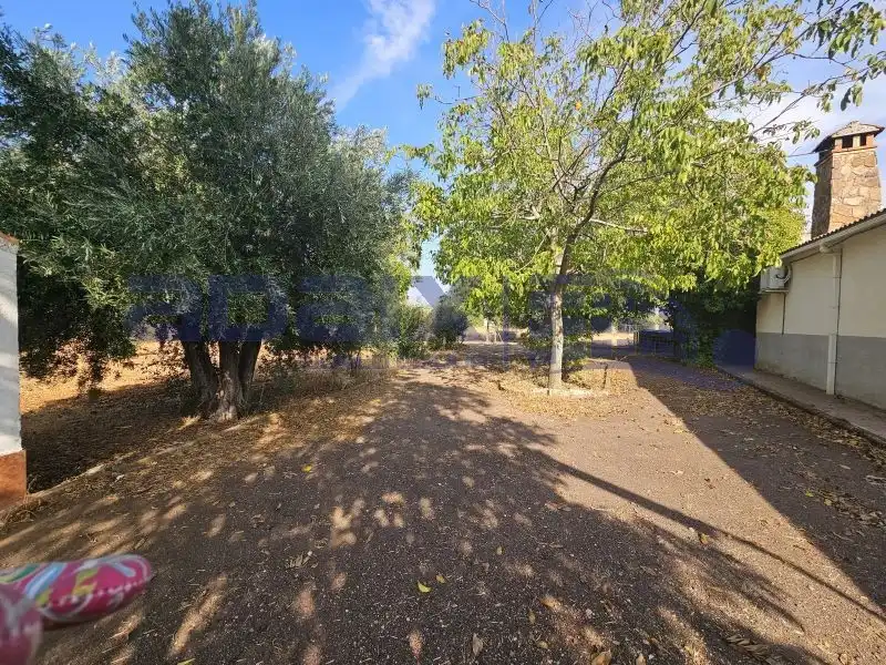 Maison rustique avec piscine à vendre à Argamasilla de Calatrava, imagen 9