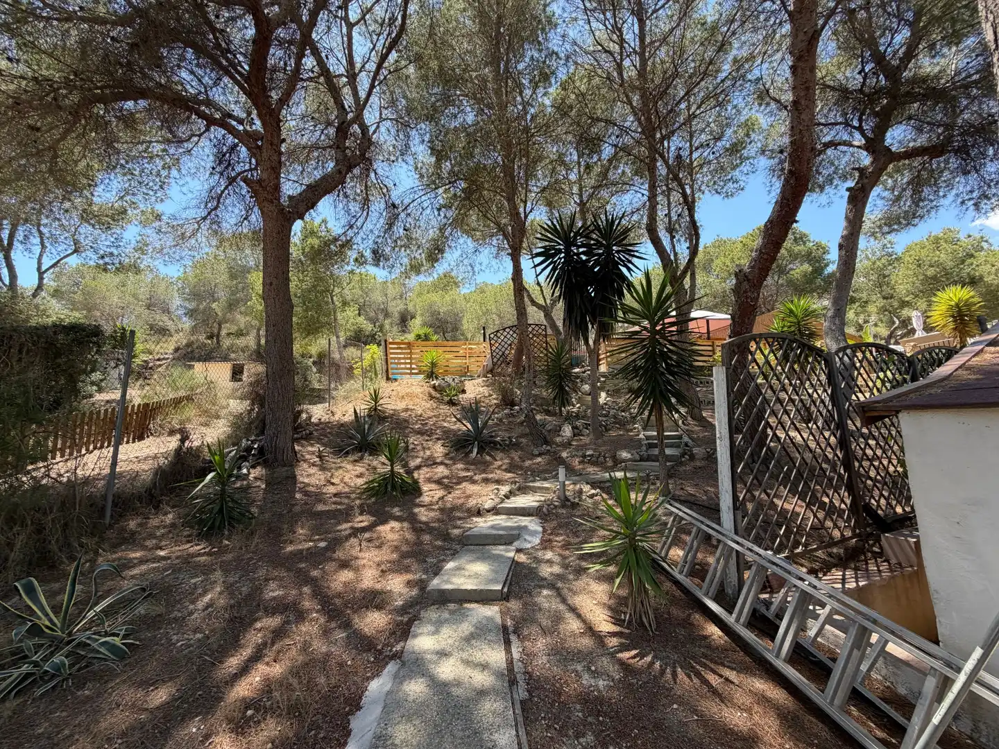 Maison rustique à vendre à Montepinar - La Aparecida - Raiguero, imagen 20