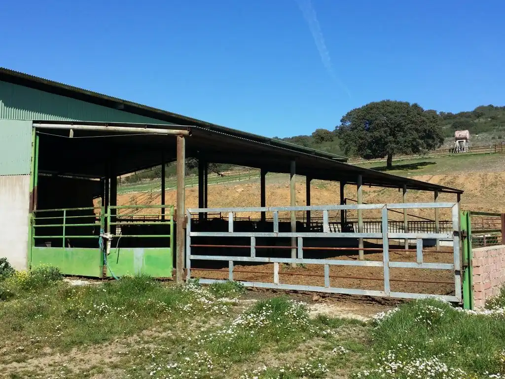 Landhaus mit Garten zum Verkauf in Peñarroya-Pueblonuevo, imagen 6
