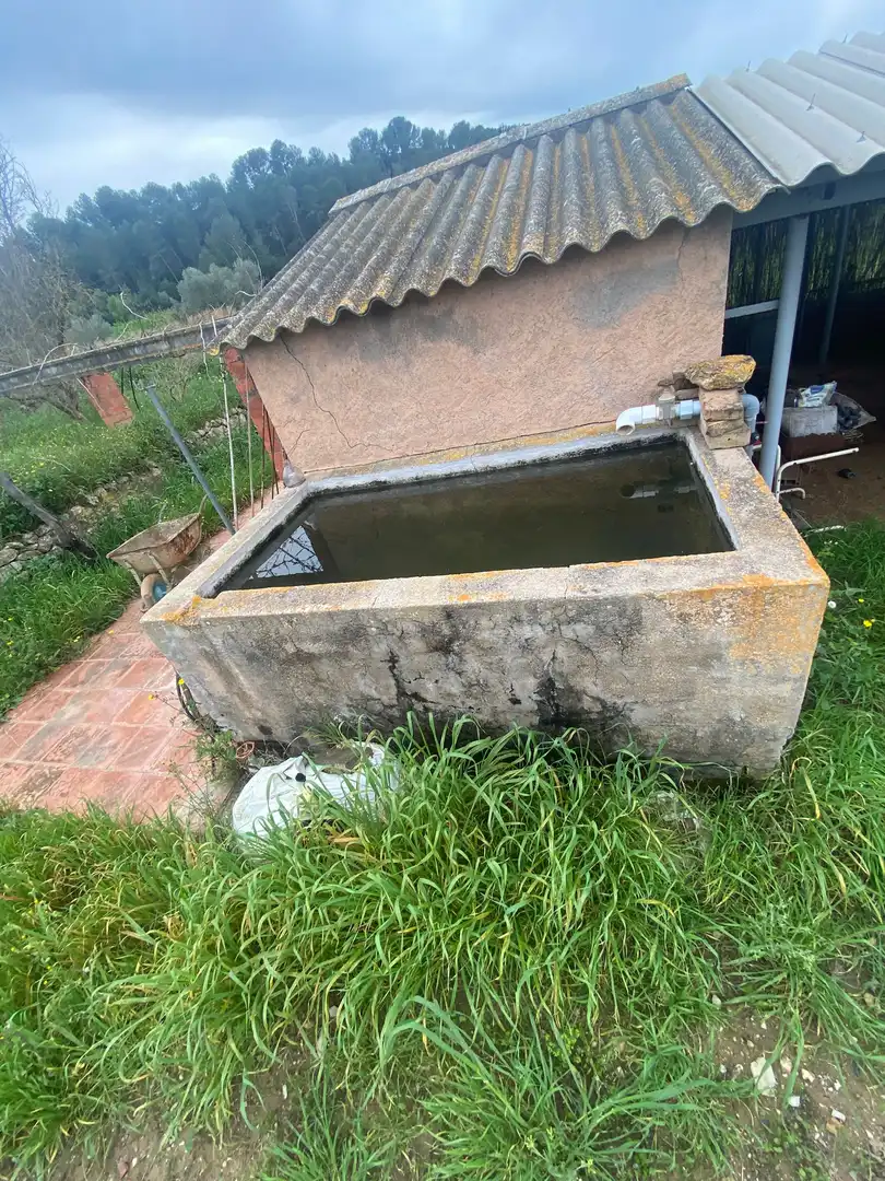 Jardí de Residencial en venda en Ginestar