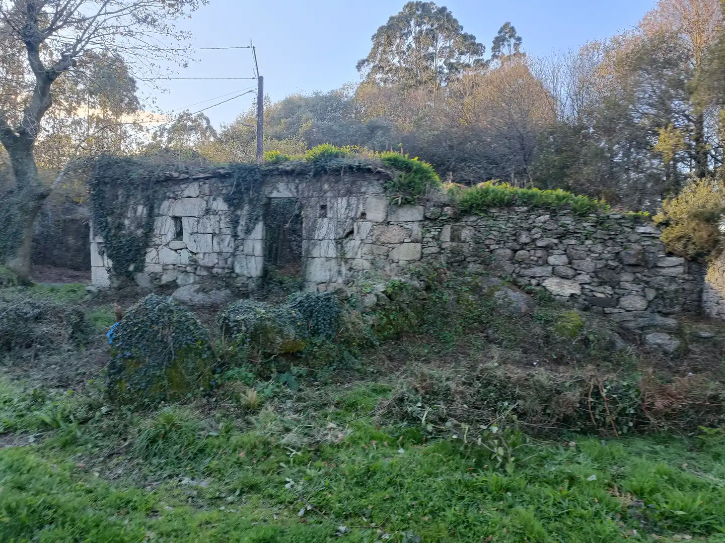 House with garden for sale in Curtis, imagen 8