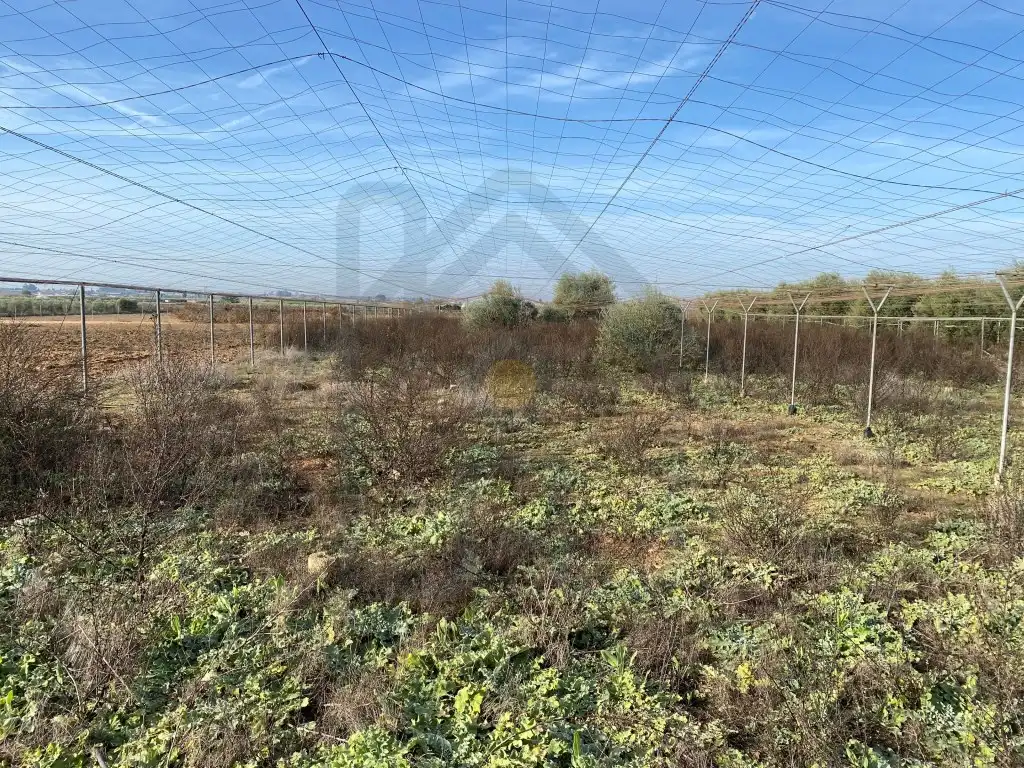 Terreni e lotti in vendita a Poligono 3 Paraje 470 La Indiana, imagen 3