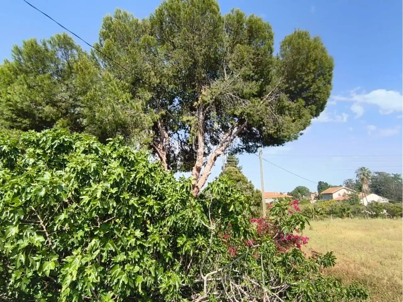 Jardín de Finca rústica en venta en Murcia con Terraza