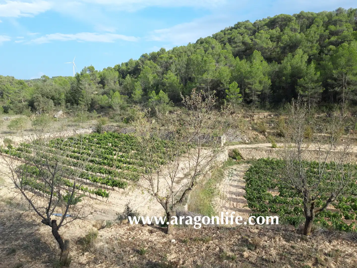 Finca rústica en venda en Caseres