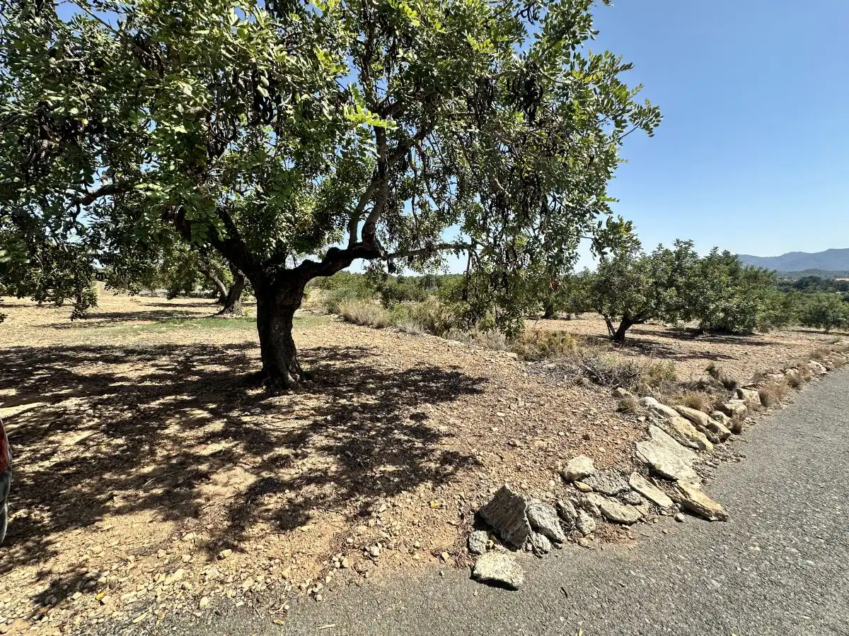 Terreno residencial en venta en Alfara de la Baronia, imagen 15